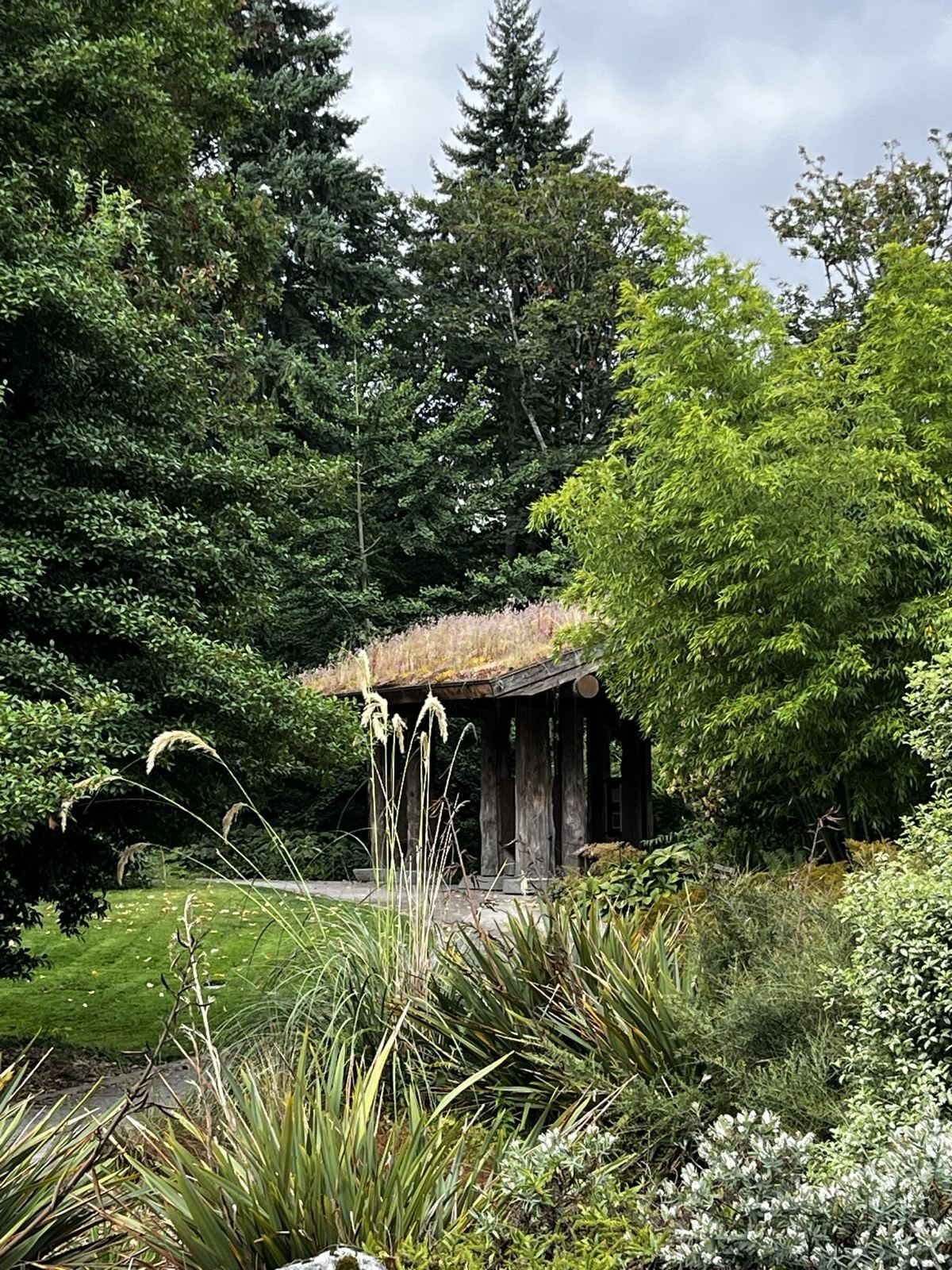 Garden shelter with a living roof among evergreens