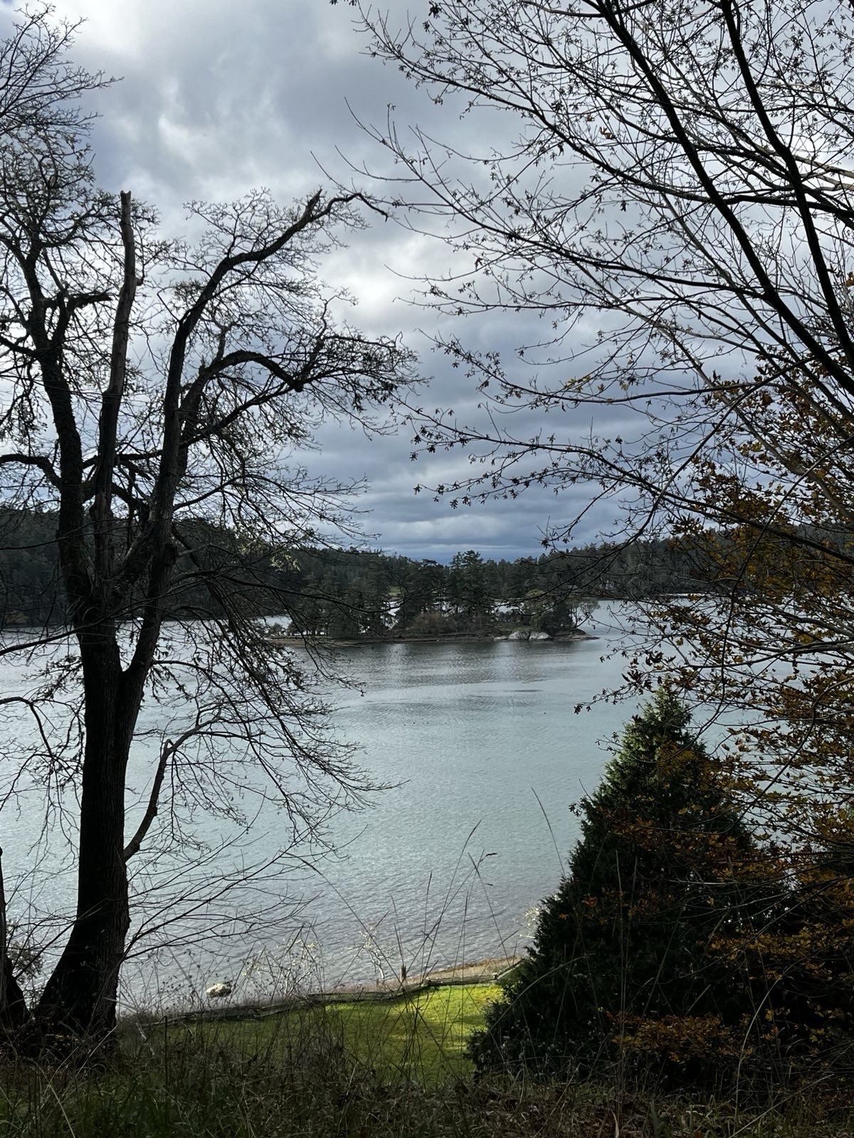 Still lake seen through bare trees in soft light